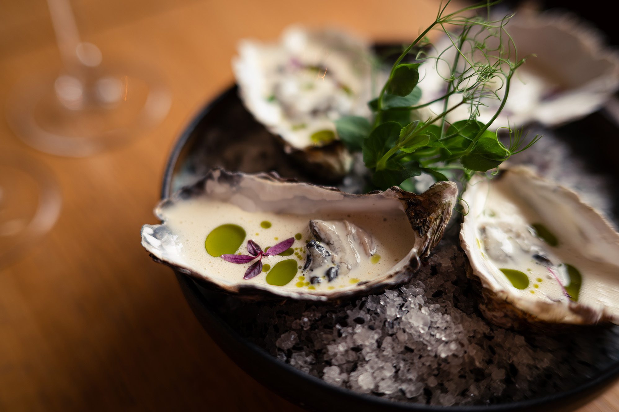 Oysters at Altitude 24